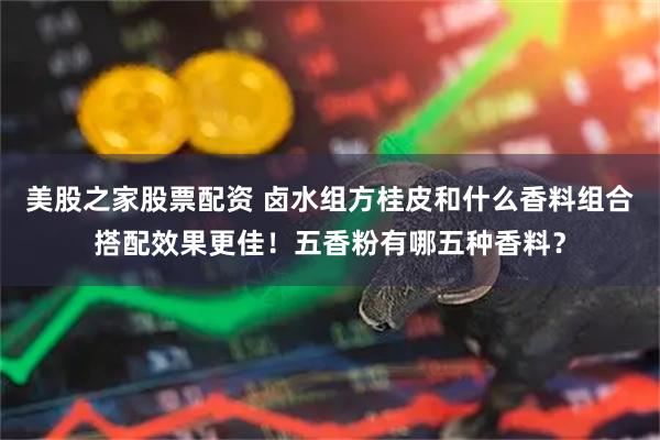 美股之家股票配资 卤水组方桂皮和什么香料组合搭配效果更佳！五香粉有哪五种香料？