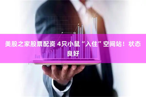 美股之家股票配资 4只小鼠“入住”空间站！状态良好