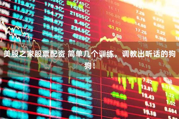 美股之家股票配资 简单几个训练，调教出听话的狗狗！