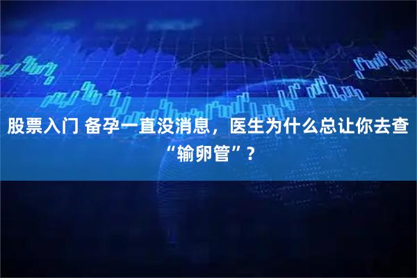 股票入门 备孕一直没消息，医生为什么总让你去查“输卵管”？