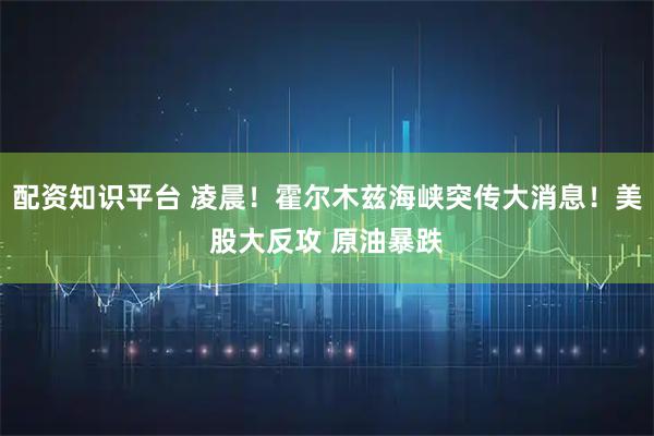 配资知识平台 凌晨！霍尔木兹海峡突传大消息！美股大反攻 原油暴跌