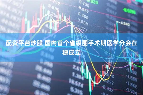 配资平台炒股 国内首个省级围手术期医学分会在穗成立
