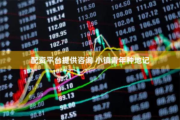 配资平台提供咨询 小镇青年种地记